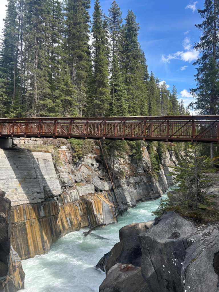A foot bridge over a river in the Rockies