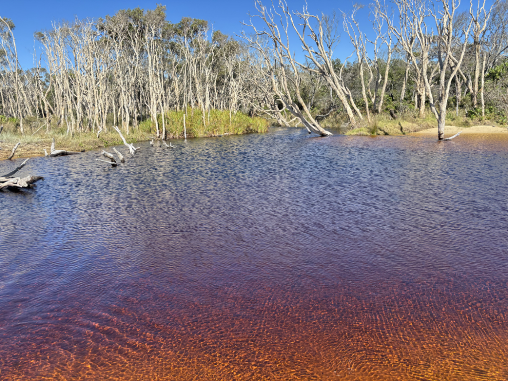 Tea Tree Creek on Flinders Beach