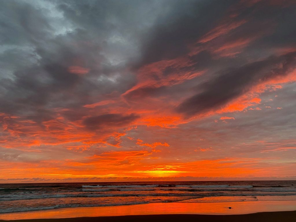 MoroochydoreSunriseCraigBatty